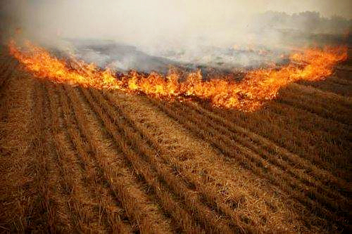 熊良虎赴京调查德国迪芬巴赫公司、ESATPOINT GLOBAL公司生态J9集团平台板材设备工艺