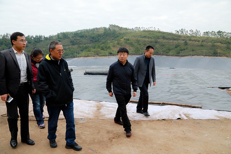 熊良虎在广西调查调研固废措置工作时指出：抢抓机缘，加快优势产业“走出去”