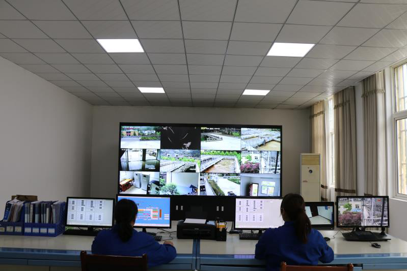 这个端午节，水环境人这么过（二）