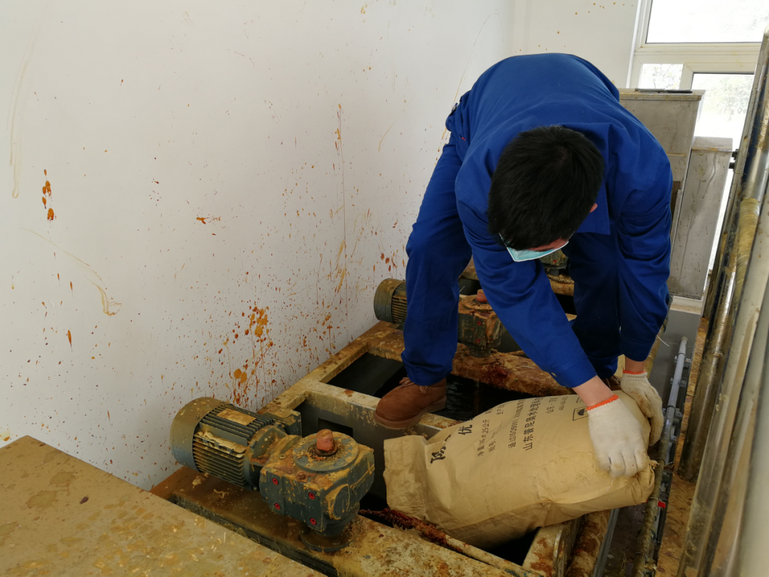 这个端午节，水环境人这么过（二）